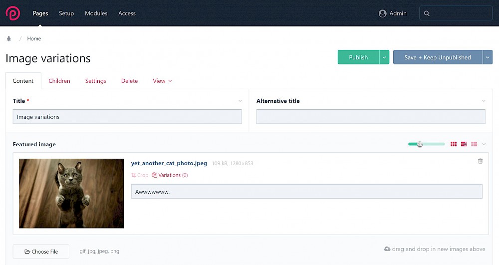 Basic page with single image field